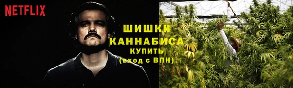 винт Гусев
