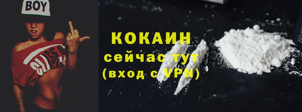 винт Гусев