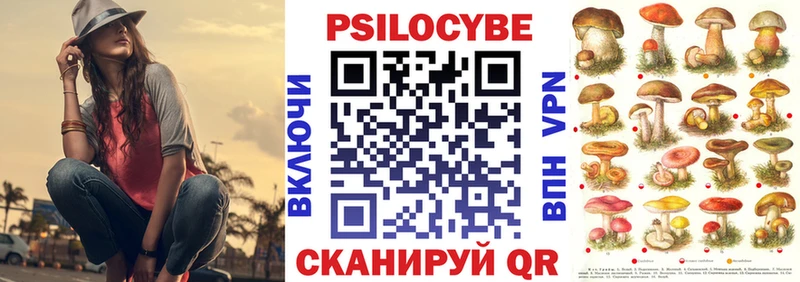 Галлюциногенные грибы Psilocybe Купить Мурино